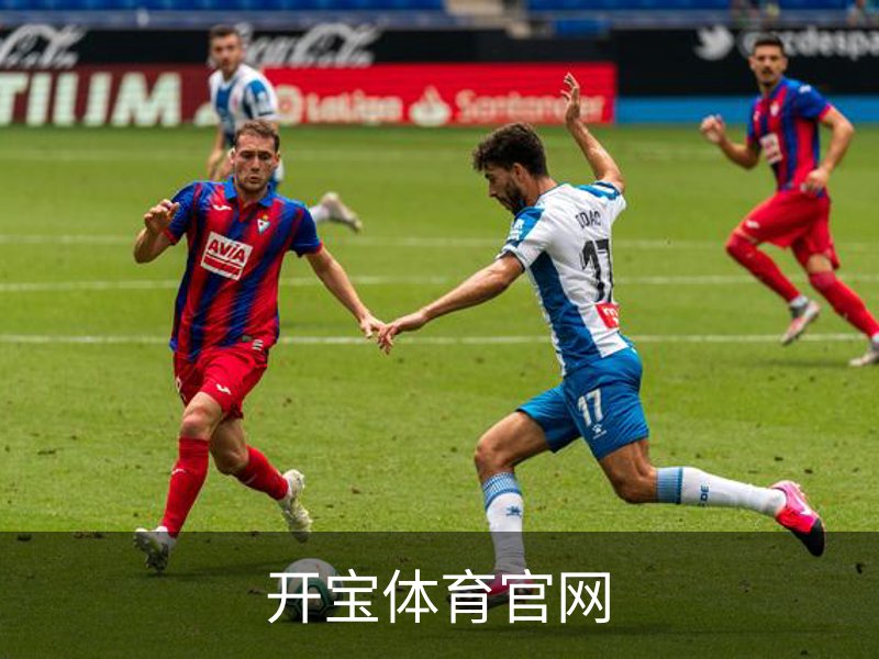 开宝体育官网概况