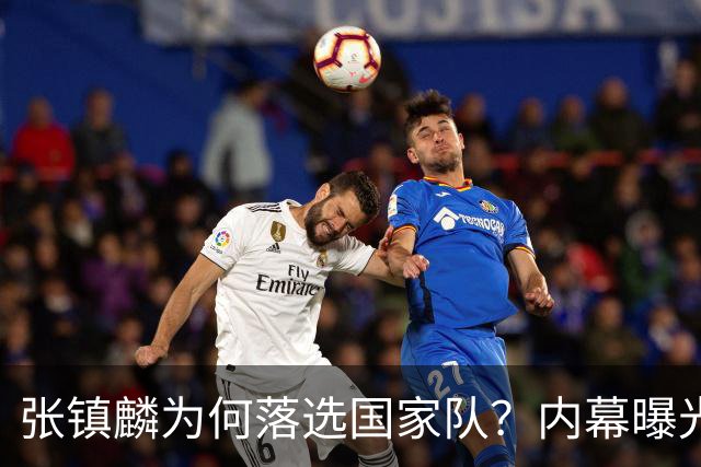 张镇麟为何落选国家队？内幕曝光，叫人心疼，郭士强并没放弃他